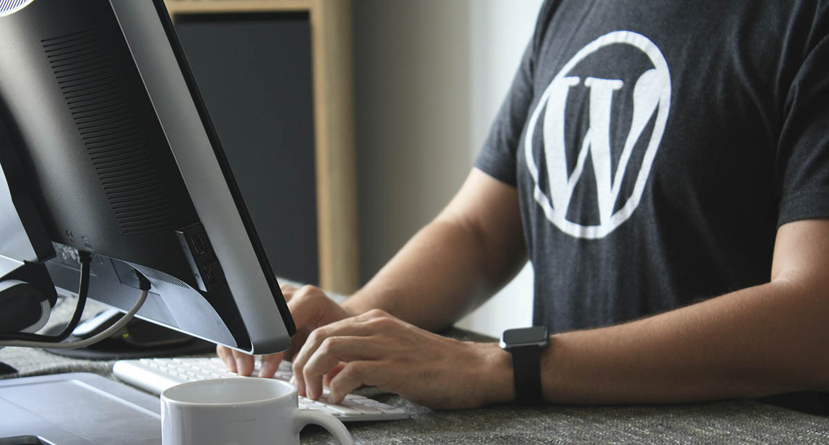 WordPress user management interface